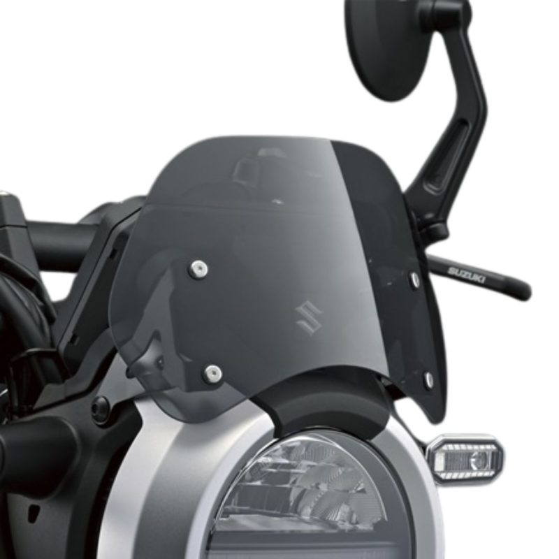 Suzuki_GSX_8T_Meter_Visor