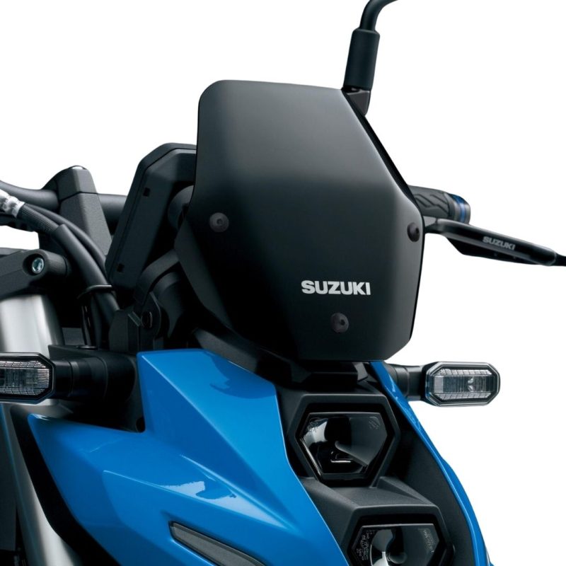 Suzuki_GSX_8S_Meter_Visor