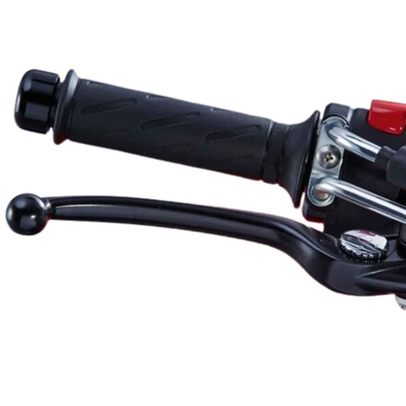 Suzuki_Black_Lever_Brake