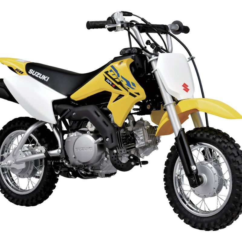 DR-Z50