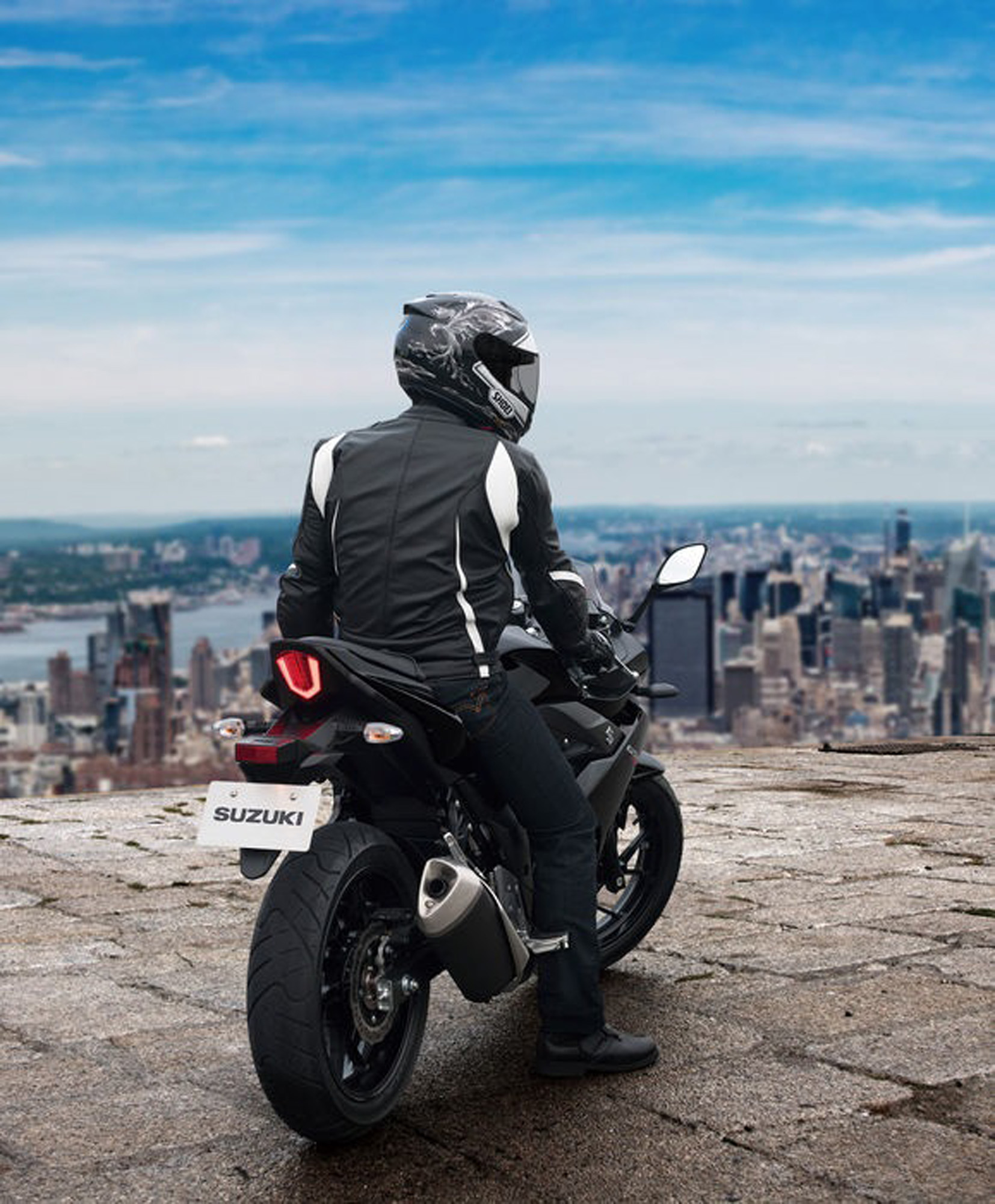 GSX250Rlookout