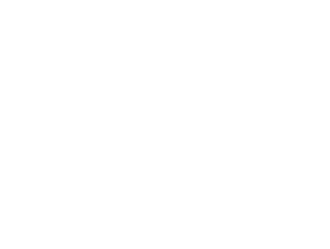 SIRS_Logos_Ride_by_Wire_Suzuki SIRS_Logos_Ride_by_Wire_Suzuki