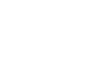 SIRS_Logos_S_DMS_Suzuki SIRS_Logos_S_DMS_Suzuki